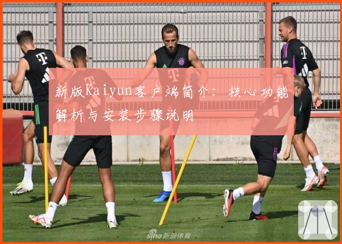 新版Kaiyun客户端简介：核心功能解析与安装步骤说明